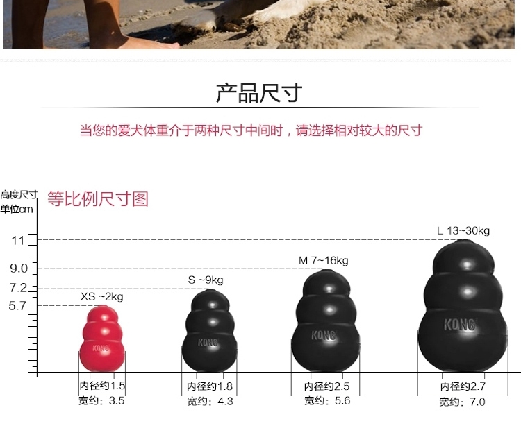美国KONG 天然橡胶耐咬漏食葫芦 多款可选 狗玩具