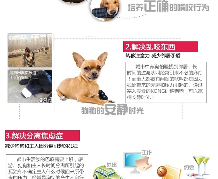 美国KONG 天然橡胶耐咬漏食葫芦 多款可选 狗玩具