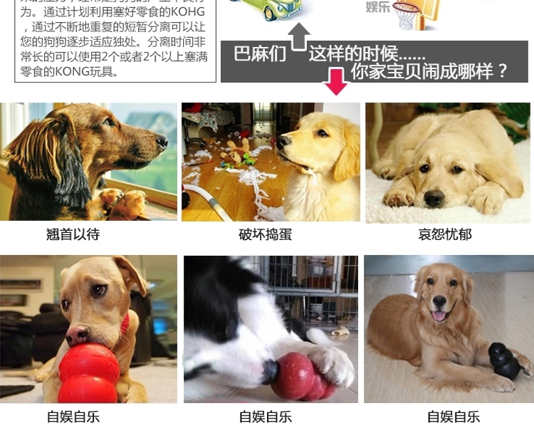 美国KONG 天然橡胶耐咬漏食葫芦 多款可选 狗玩具