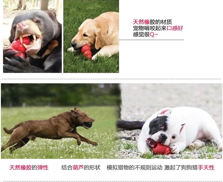 美国KONG 天然橡胶耐咬漏食葫芦 多款可选 狗玩具
