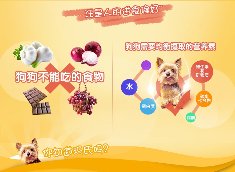 宝路Pedigree 牛肉蔬菜中小型成犬粮 500g