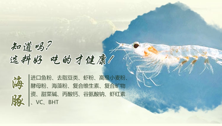 海豚薄片鱼粮