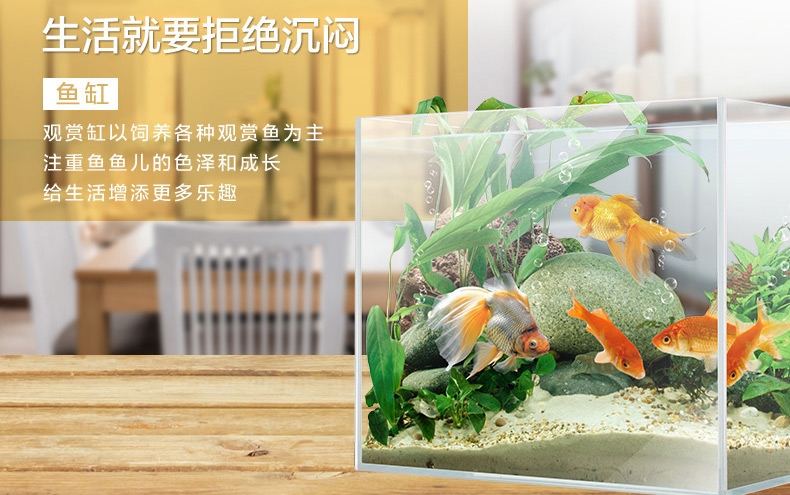 聚宝源 超白缸观赏鱼/龟/虾/草缸水族箱鱼缸 不包含照明灯 多款可选