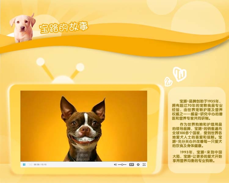 宝路Pedigree 幼犬钙奶棒洁齿咬胶60g*3 补钙磨牙两不误 狗零食