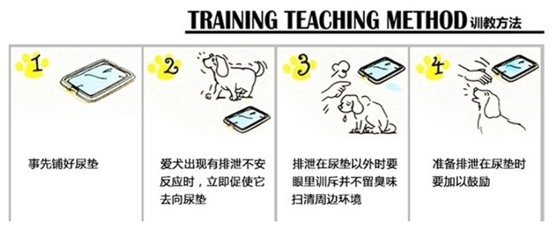 法瑞特 宠物吸水去异味尿片尿垫(整包)