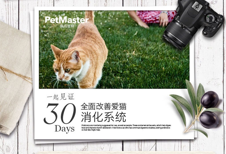 佩玛思特 幼猫及怀孕母猫粮10kg