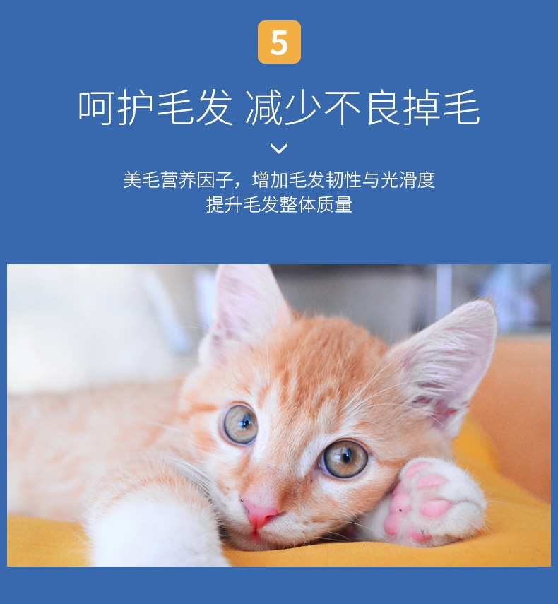 佩玛思特Pet Master 幼猫及怀孕母猫粮10kg