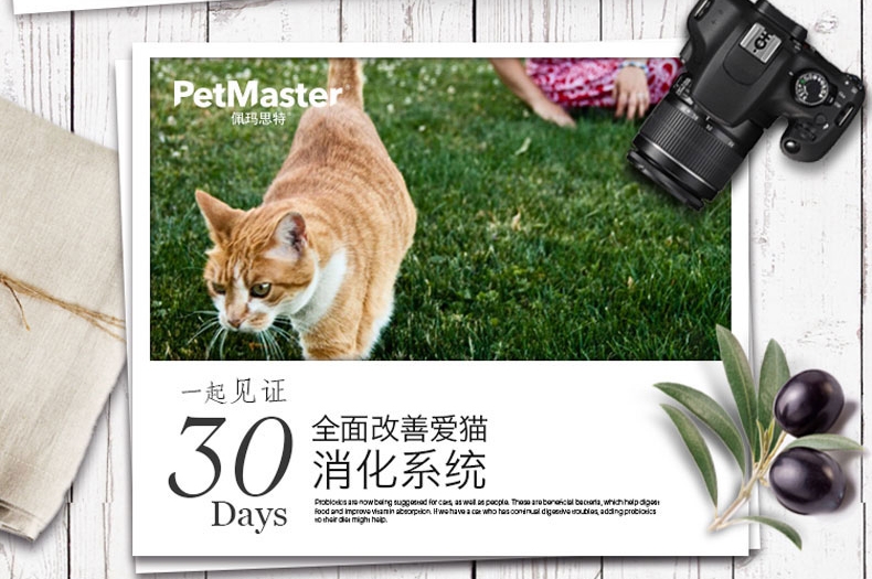 佩玛思特 美毛理想体态猫粮10kg 进口猫粮