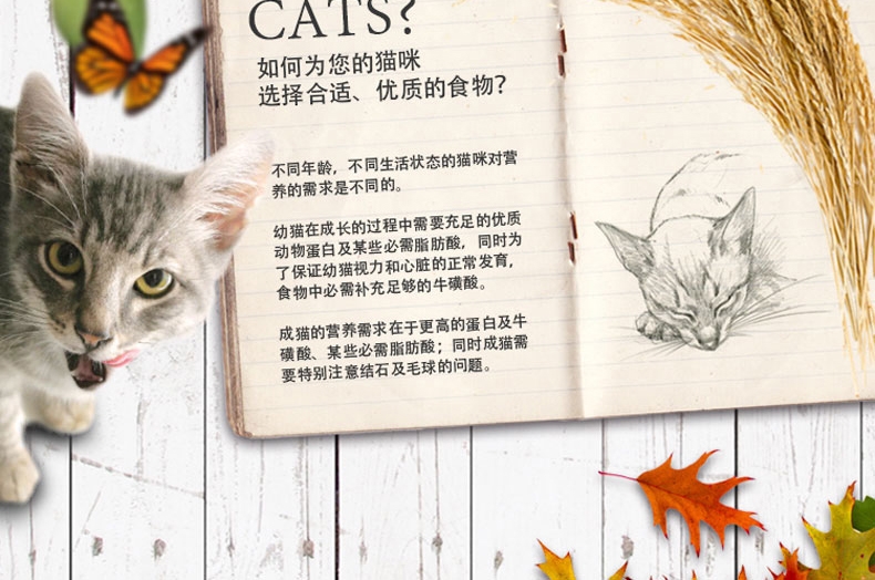 佩玛思特 美毛理想体态猫粮10kg 进口猫粮