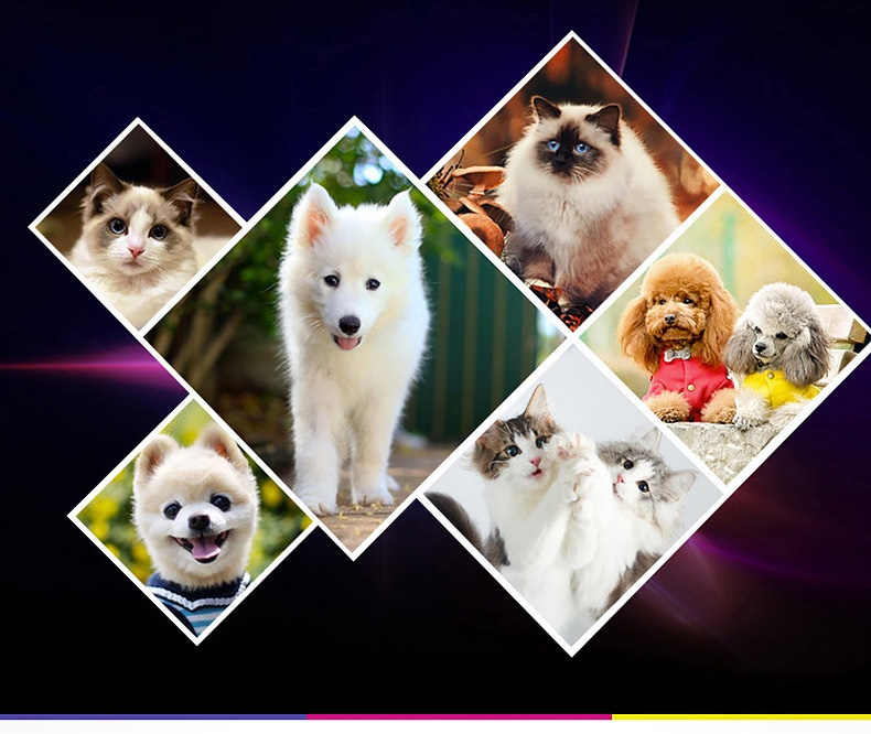 Petlot 宠物美容修毛剪刀 犬猫通用