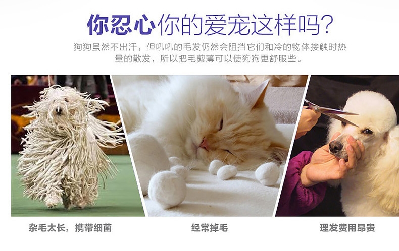 Petlot 宠物美容修毛剪刀 犬猫通用