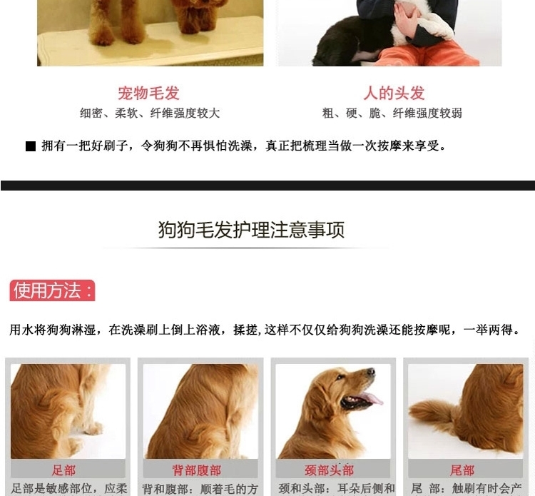 Petlot 宠物针梳双面按摩刷洗澡刷 猫和小型犬用