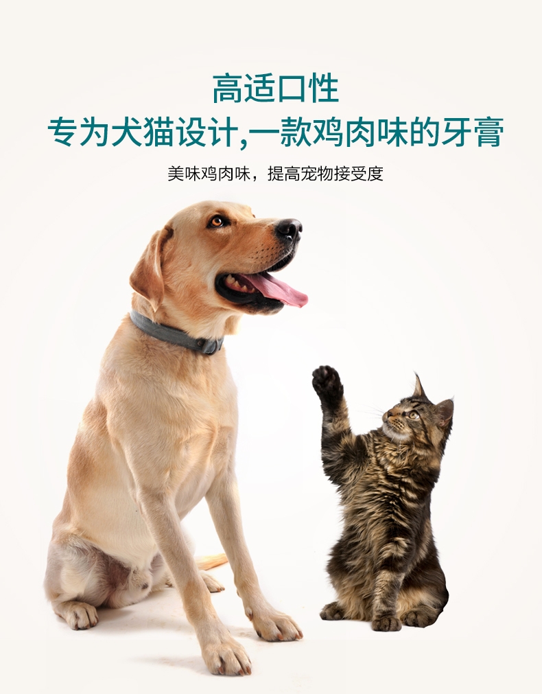 法国维克Virbac 犬猫鸡肉味复合酶牙膏盒装刷牙牙膏 70g 口腔清洁 法国进口