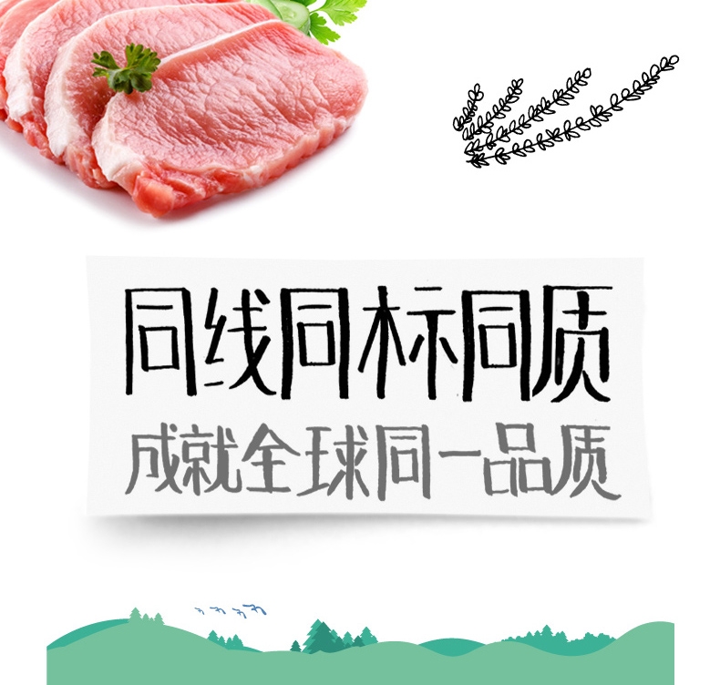 顽皮Wanpy 猪肉鲜封包狗湿粮 80g*24包