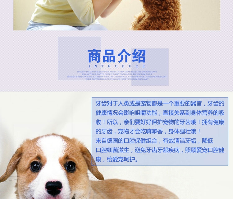 特瑞仕 薄荷牙膏套装100g 清洁口腔清新口气去口臭牙菌斑牙结石