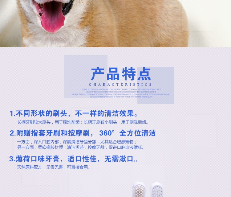 特瑞仕 薄荷牙膏套装100g 清洁口腔清新口气去口臭牙菌斑牙结石