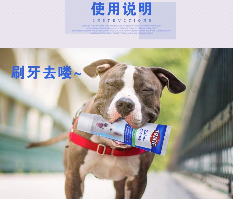 特瑞仕 薄荷牙膏套装100g 清洁口腔清新口气去口臭牙菌斑牙结石