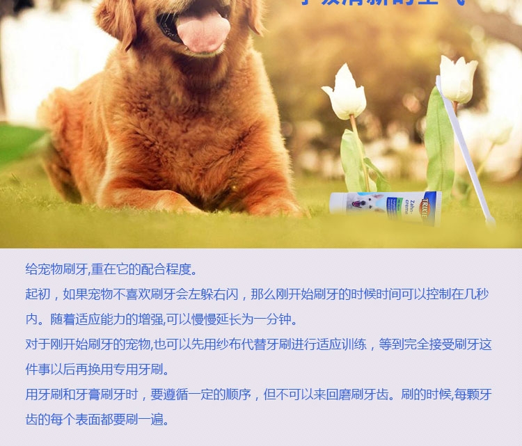 特瑞仕 薄荷牙膏套装100g 清洁口腔清新口气去口臭牙菌斑牙结石