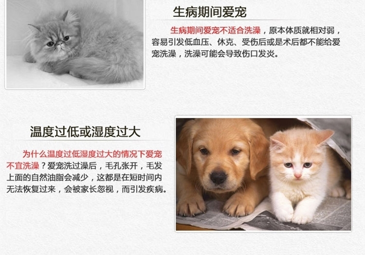 特瑞仕 杀菌止痒去污免洗干洗粉 100g 犬猫通用