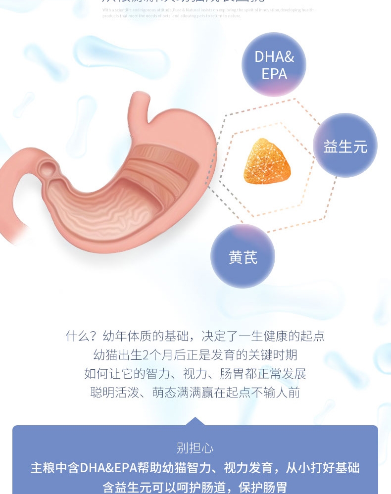 伯纳天纯 金枪鱼紫薯蔓越莓配方幼猫粮 1.5kg