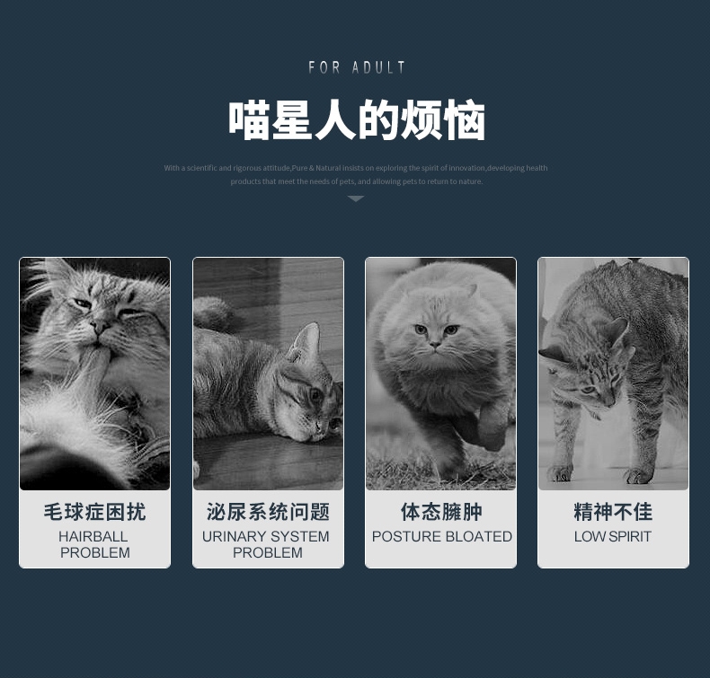 伯纳天纯 成猫天然无谷配方猫粮1.5kg
