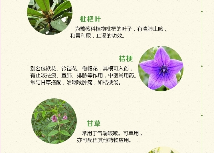 湃特安琪儿宠物镇咳灵60ml 止咳 平喘 咽喉炎症