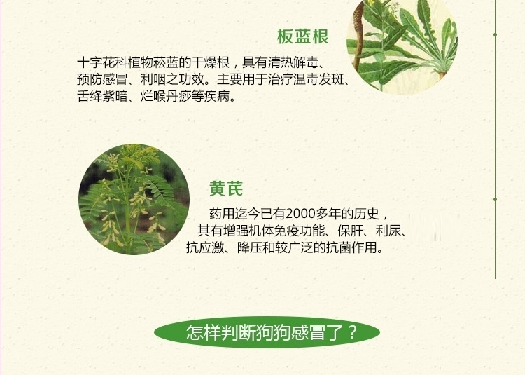 湃特安琪儿宠物镇咳灵60ml 止咳 平喘 咽喉炎症