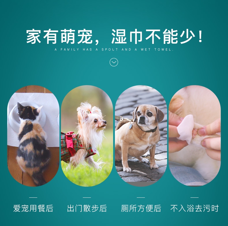 怡亲多可特 宠物湿巾100片