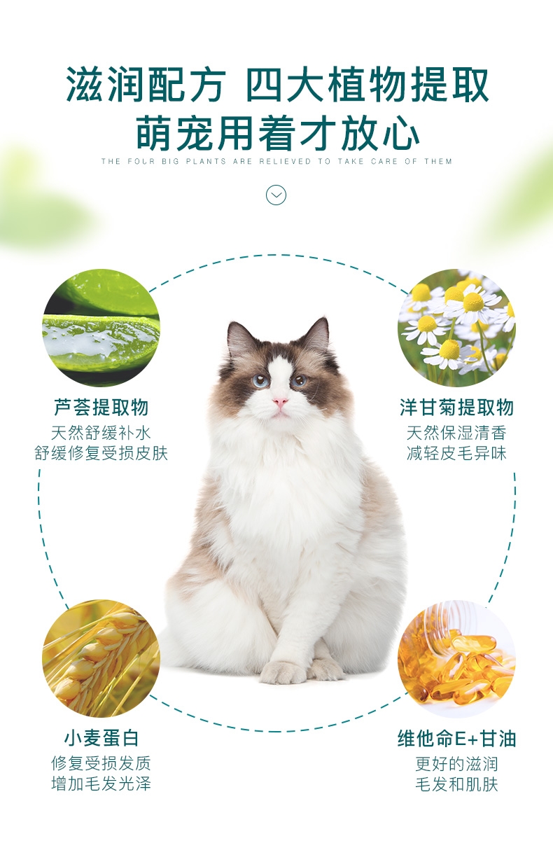 怡亲多可特 宠物湿巾100片