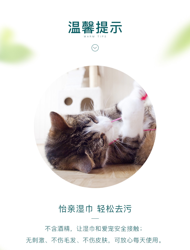 怡亲多可特 宠物湿巾100片
