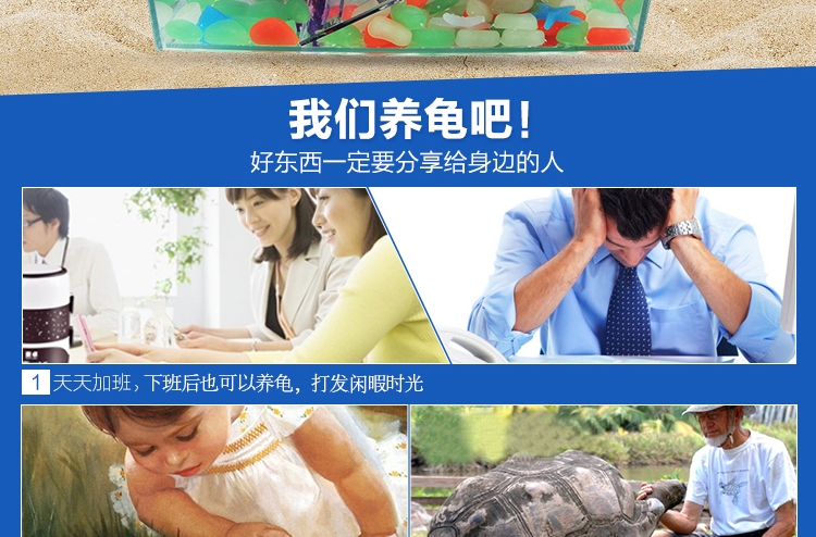 聚宝源超白玻璃生态乌龟别墅巴西龟缸 带爬梯晒台 时尚龟缸