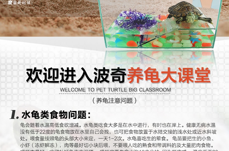聚宝源超白玻璃生态乌龟别墅巴西龟缸 带爬梯晒台 时尚龟缸