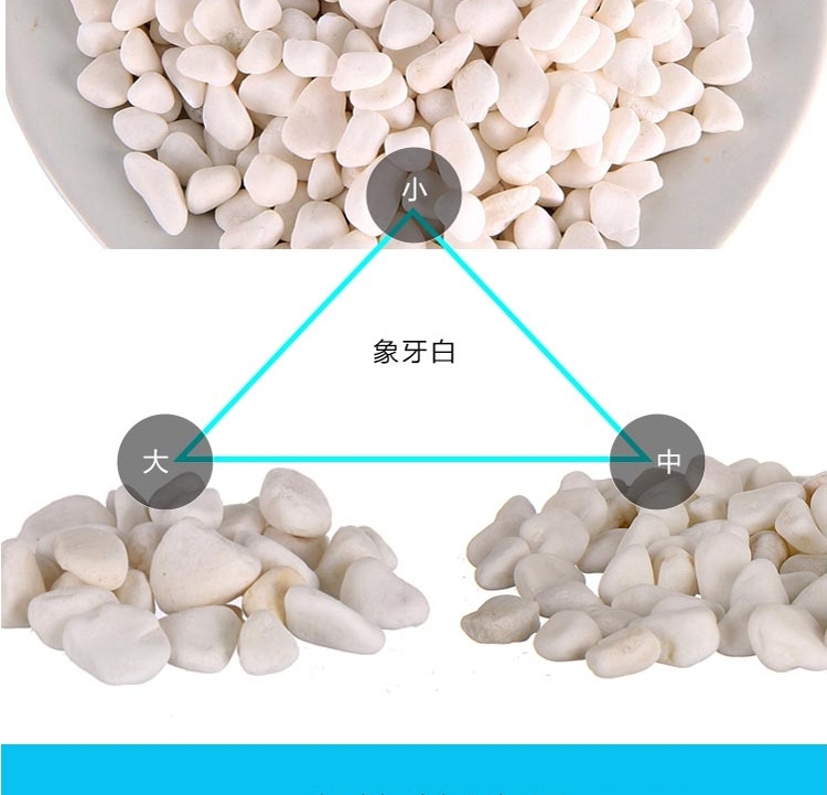 底砂 聚宝源水族鱼缸造景套餐水草缸造景龟缸装饰底沙 黄金沙