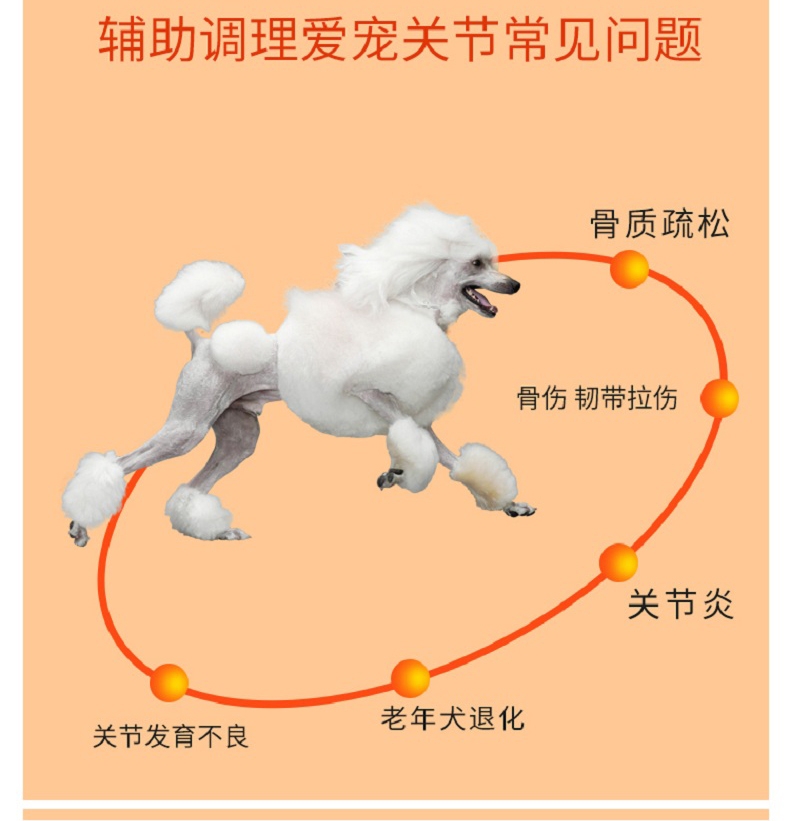 菩施康 猫狗葡萄糖胺关节康 138片/瓶 预防关节变形宠物关节保健品