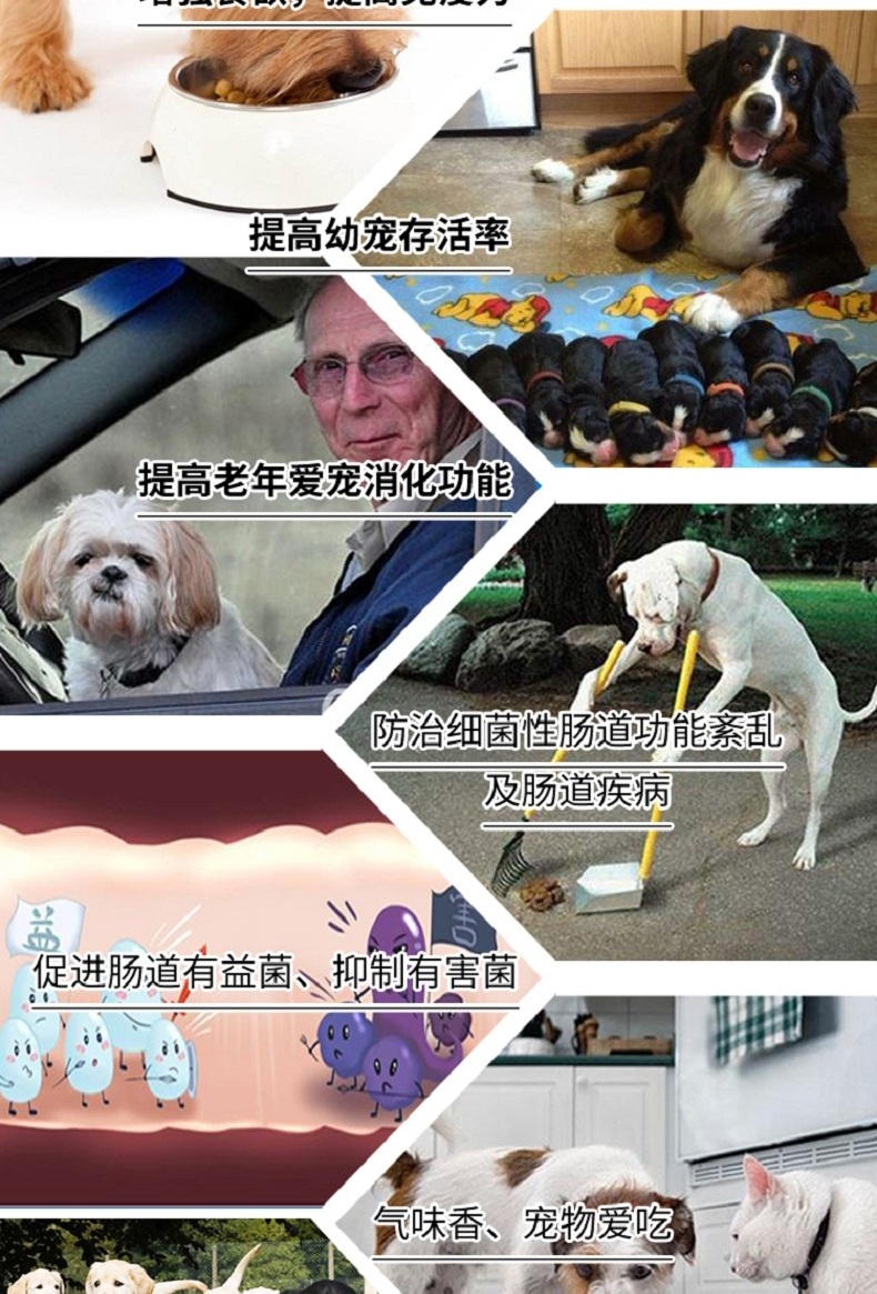 菩施康 猫狗活菌益生元280g/桶 促进生长发育调理肠胃专用