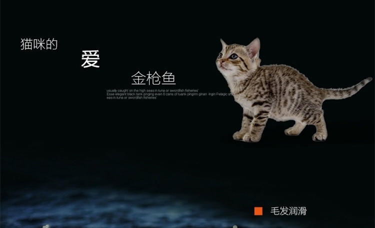 珍味 金枪鱼鸡肉猫罐头湿粮 170g