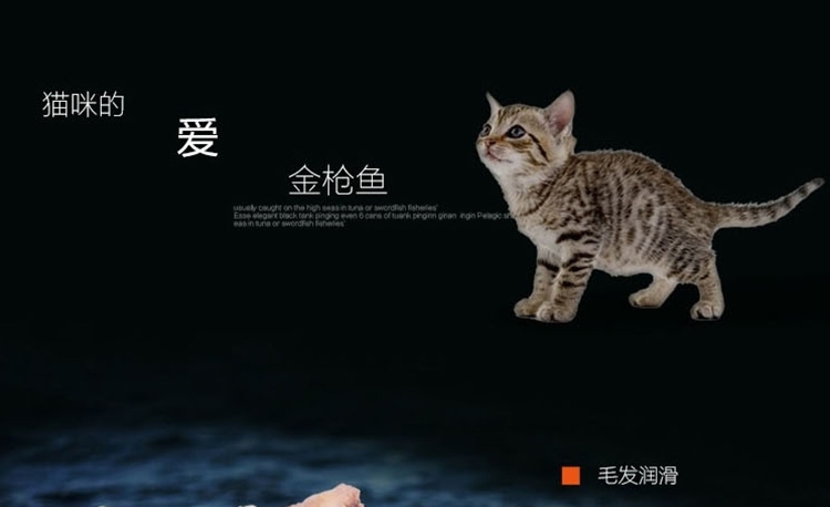 珍味 金枪鱼蟹肉猫罐头湿粮 170g