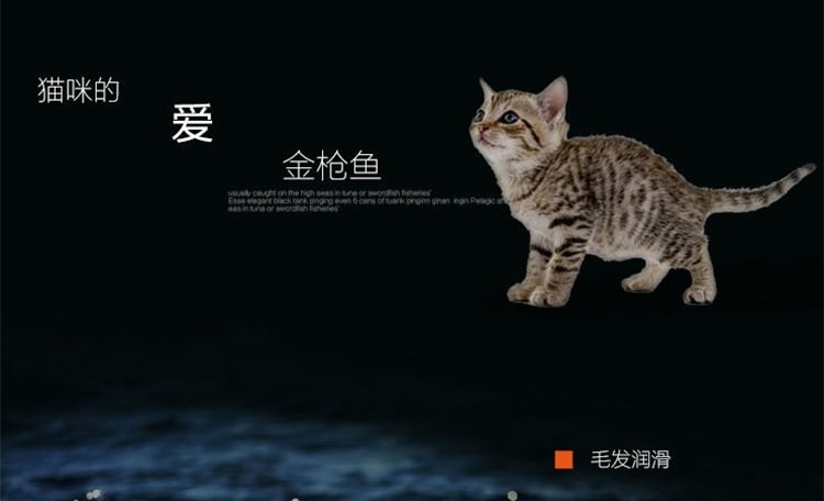 珍味 金枪鱼+鸡肉猫罐头170g*10罐装 猫湿粮