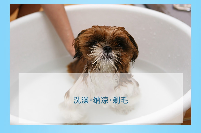 怡亲多可特 柔软海绵凝胶宠物冰垫 方形冰垫