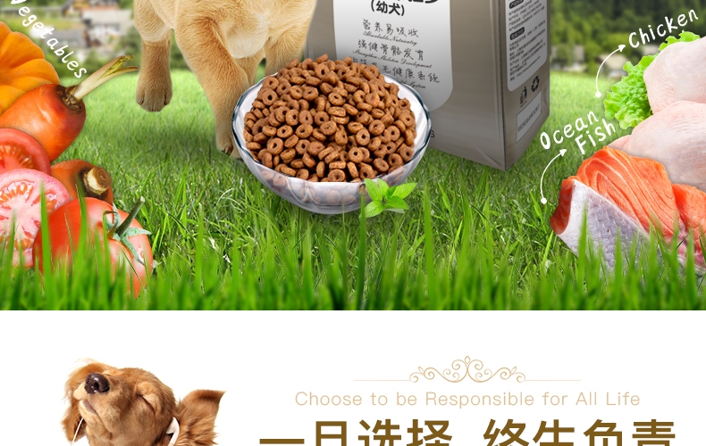 怡亲 金毛拉布拉多专用幼犬粮2.5kg
