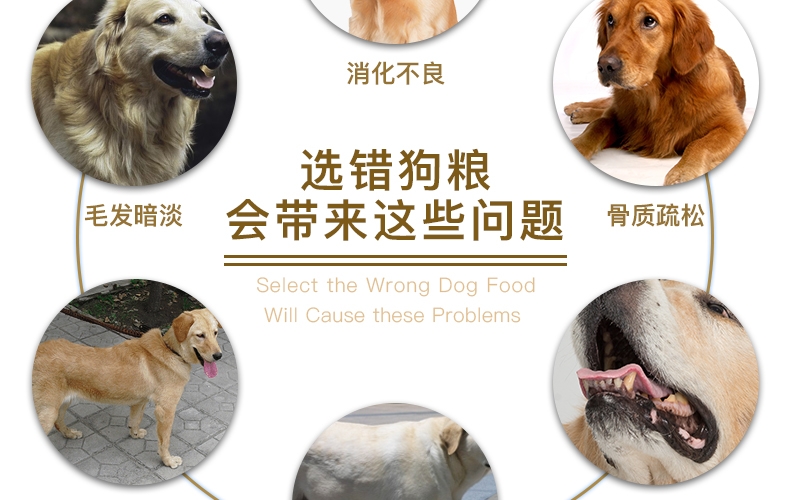 怡亲 金毛拉布拉多专用幼犬粮2.5kg