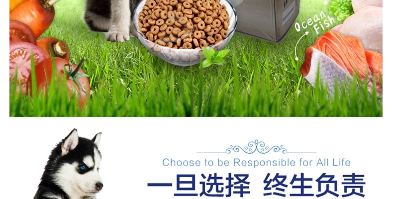 怡亲 雪橇犬保护肠胃专用幼犬粮2.5kg