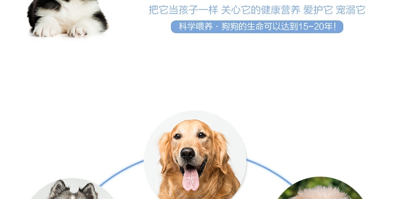 怡亲 雪橇犬保护肠胃专用幼犬粮2.5kg