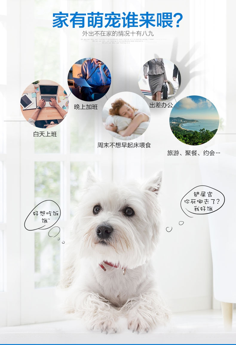 Pawise 可定时宠物自动喂食器