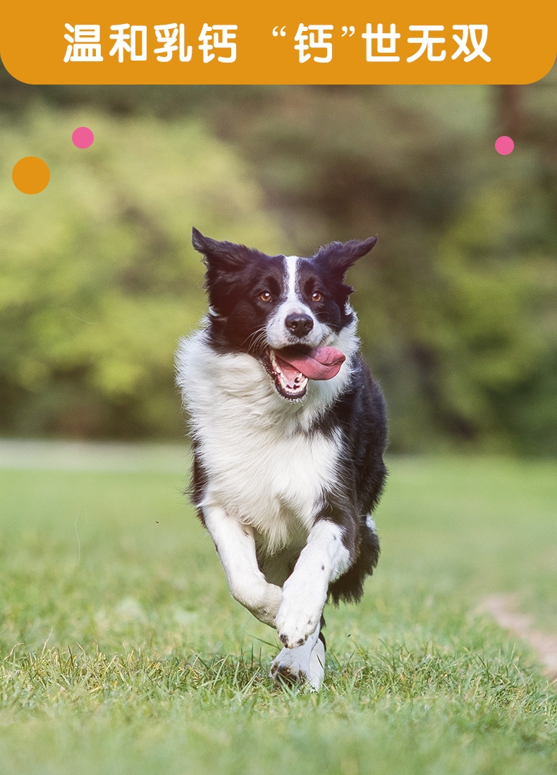 麦德氏inbasic 犬用羊乳钙片 150片/罐 强健骨骼