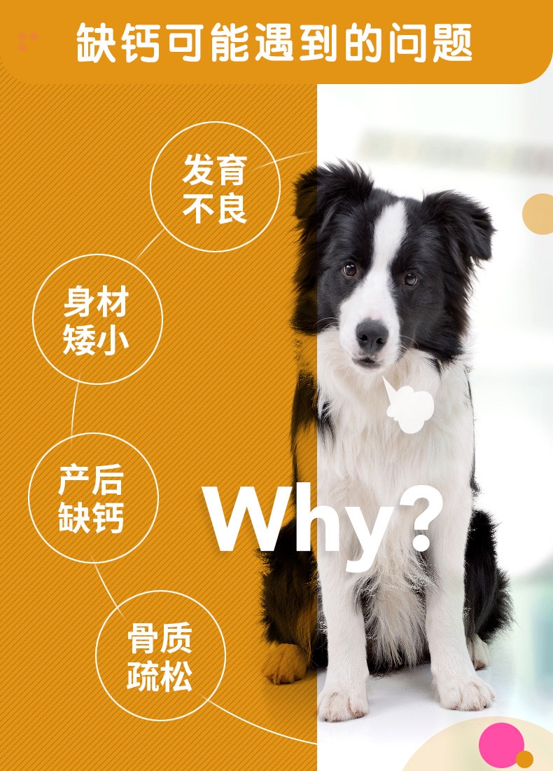 麦德氏inbasic 犬用羊乳钙片 150片/罐 强健骨骼