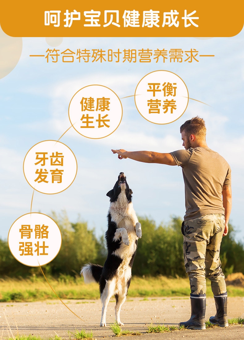 麦德氏inbasic 犬用羊乳钙片 150片/罐 强健骨骼
