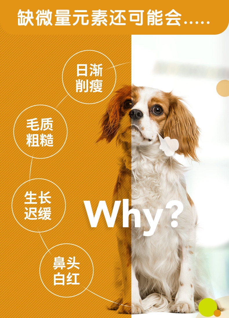 麦德氏inbasic 犬用螯合微量元素片 150片/罐 防治异食癖