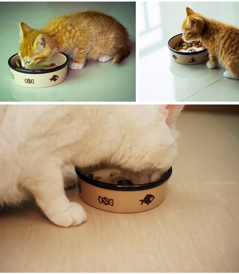 田田猫 圆形卡通陶瓷猫碗