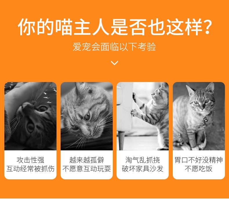 田田猫 经典羽毛花朵钢丝杆逗猫棒 多颜色可选